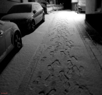 /album/fotogalerie/bildstoff-448-jpg/